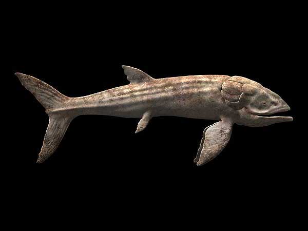 古生物学家认为疑问利兹鱼的体型尺寸可达16.5米