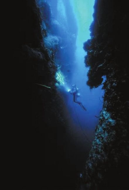 近日驾驶深潜器,顺利下潜至世界上的最深处╠╠马里亚纳海沟底部