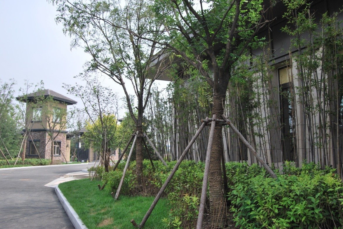 艾维诺森林 一座隐匿于都市喧嚣之外的秘密花园