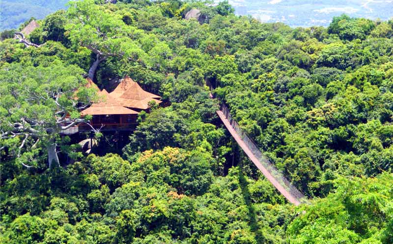 海南婚庆举办地推荐—亚龙湾热带天堂森林公园鸟巢度假村