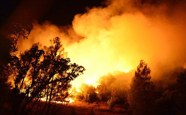 加州突发森林大火千余消防员出动