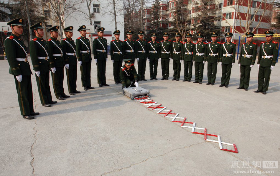 北京振远护卫配枪图片