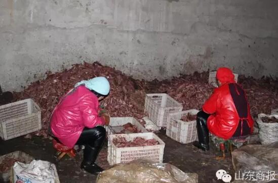 临沂黑作坊低价收购狐狸肉充狗肉 产出600万元假食品