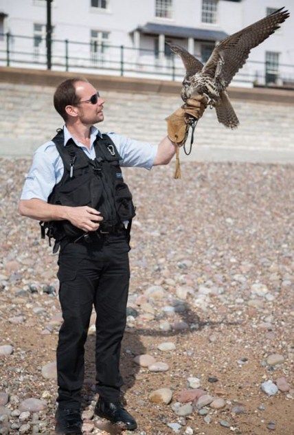 英男子陪宠物鹰一起飞行