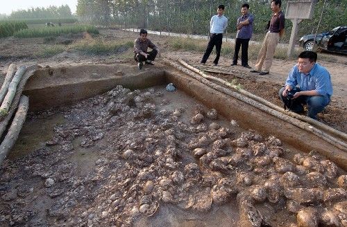 河北发掘战国时恐怖人头墩2000头颅有明显斩首迹象