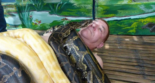 菲5米长巨蟒为游客按摩 需先喂10只鸡防其吃人