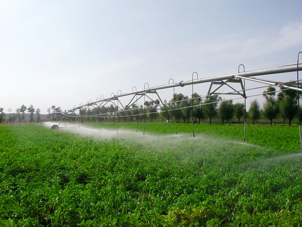 2014年中央现代农业山羊产业发展项目项目申报表