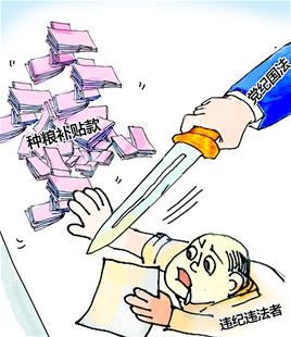 湖北纪委深夜通报种粮补贴违规追责1156人 涉案8294万