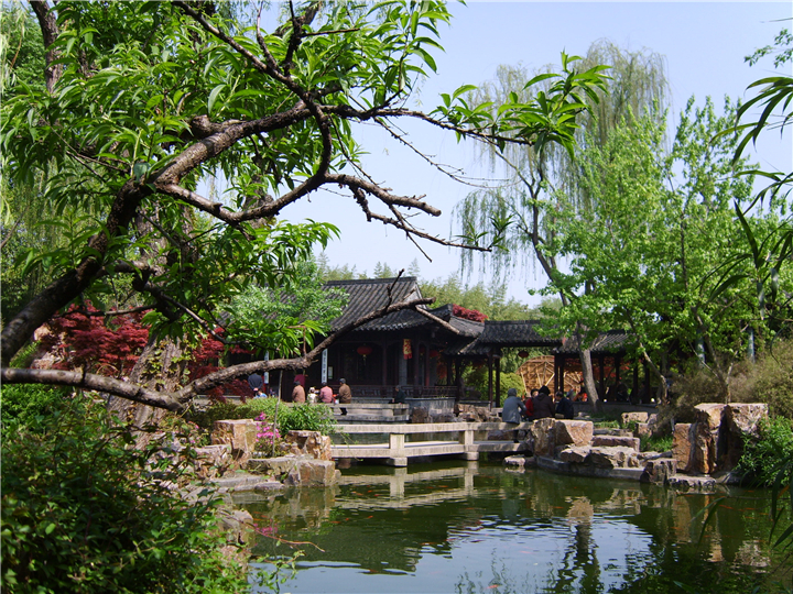 扬州:四月个园芳菲盛 览尽春光无限