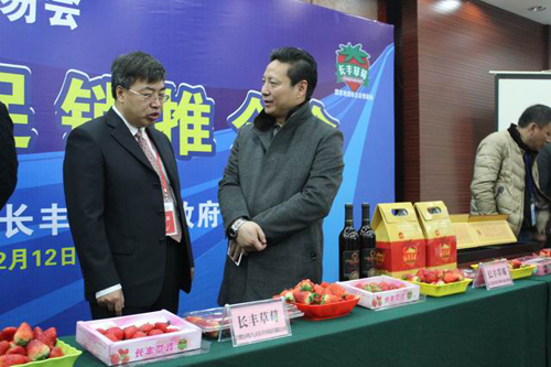副县长俞成山带领相关部门负责人一行来到展台,从长丰草莓公共品牌的