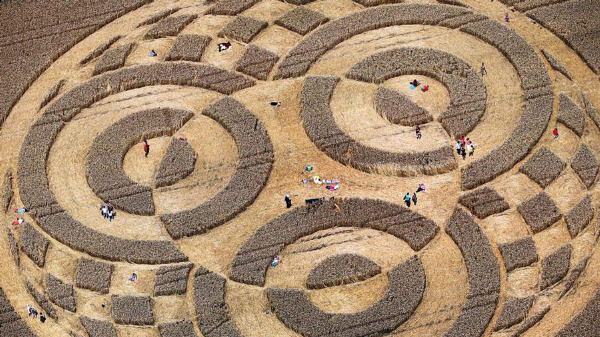 德国南部惊现75米宽麦田圈 吸引大批猎奇者_山东频道_凤凰网