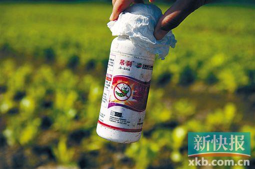 珠海市金鼎上栅,田头放着不少农药瓶子. cfp资料图