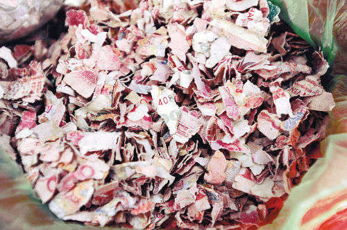 农民夫妇不慎将万元血汗钱掉进饲料机绞碎图