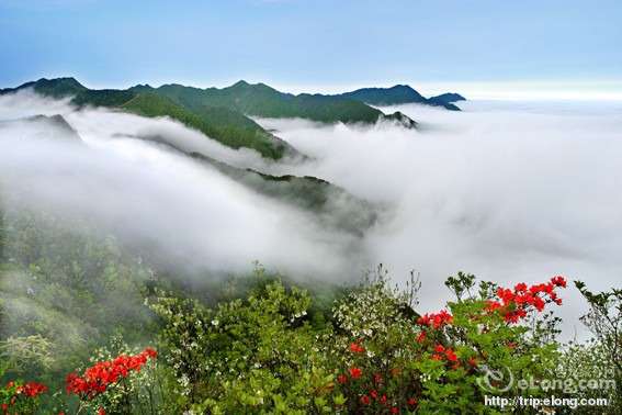 春遊井岡山 尋茫茫大海中的孤島黃洋界_旅遊頻道_鳳凰網