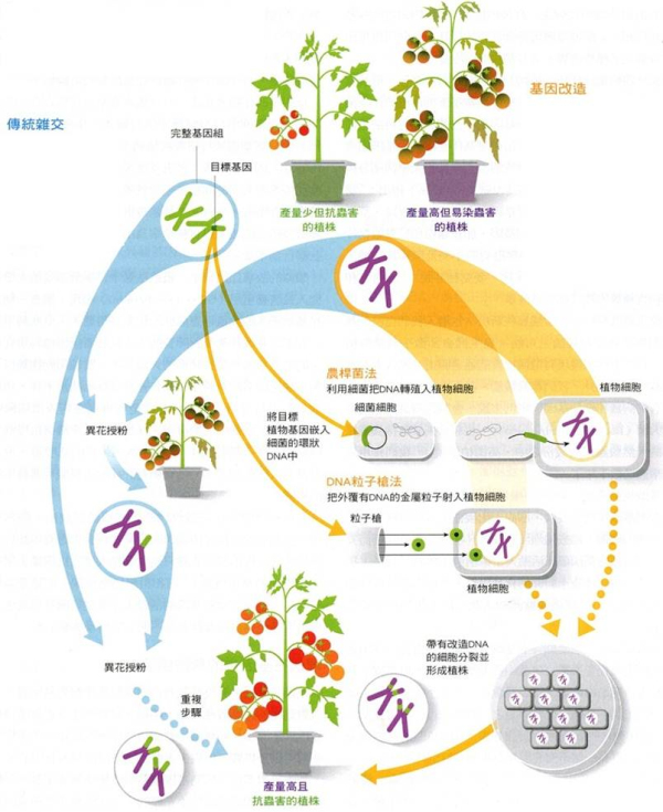 读书会no201科学未完成直到被传播从转基因谈起