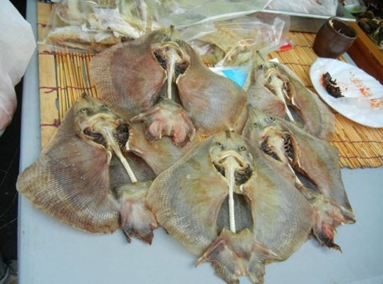 国际旅游岛 美食长廊 > 正文对于常人来说,吃这种鱼的过程是十分痛苦