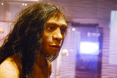 今年5月份,博物馆将1号头骨送往北京,经过我国古人类学专家张建军