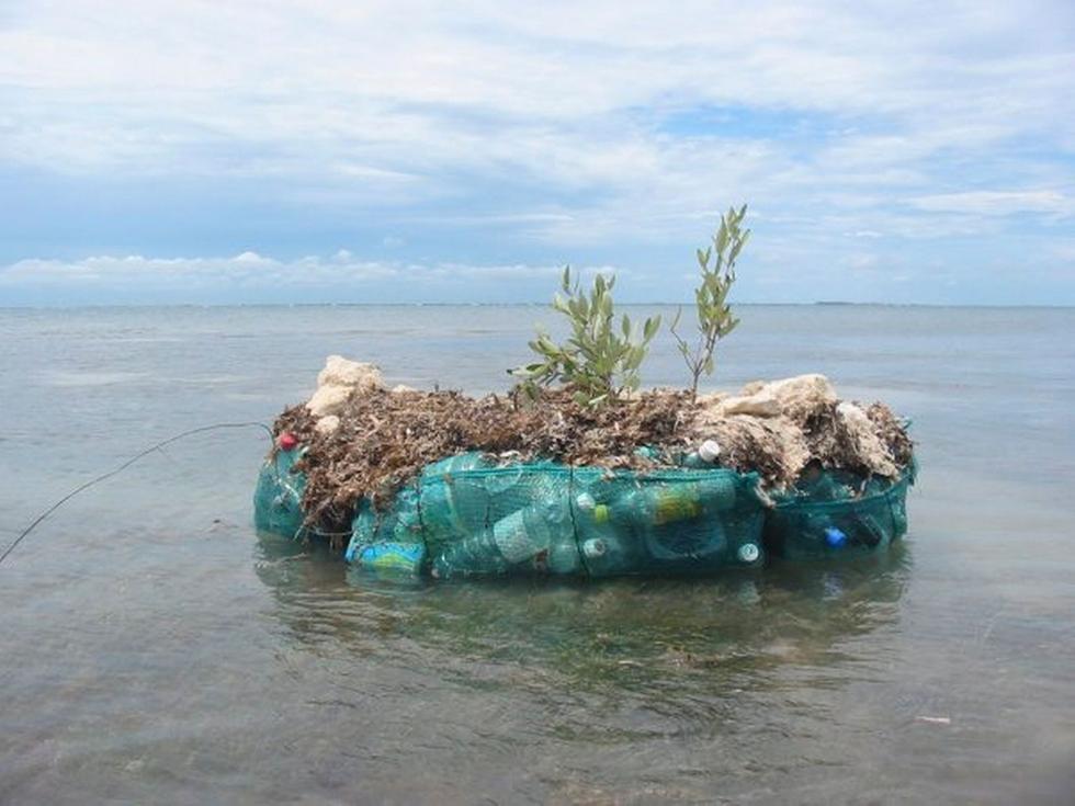 东太平洋塑料岛图片