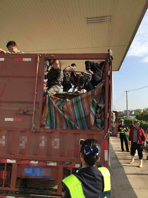 货车车厢围上彩条布拉着一车人跑高速图