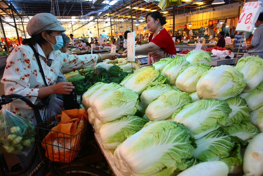 菜市场白菜图片大全图片