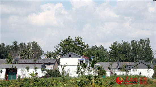 王堰村掠影"只有斗智斗勇,不能一味蛮干"刘桥镇地处濉溪县最西部,与