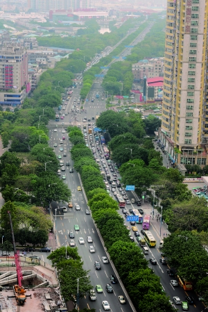 广州大道建不建brt还需论证后决定