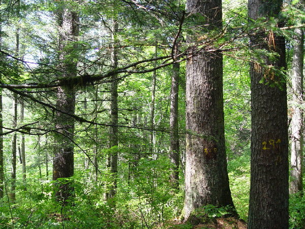 咬定青山不放松四色旅游绘美景汤原县一根筋发展旅游业