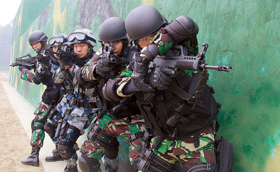 空降利刃2014突出反恐主题