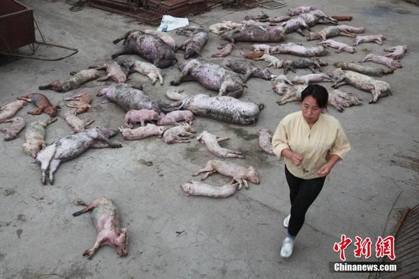 灌溉农田电线漏电上百头猪遭电击