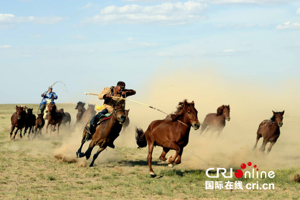 中蒙国际套马邀请赛 秦文秀摄