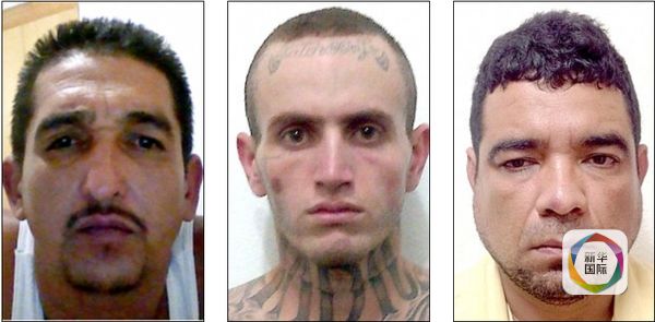墨西哥毒枭 活剥人皮图片