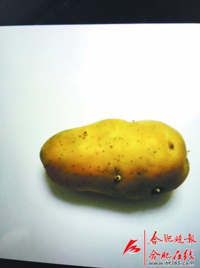 刘先生家发芽的土豆