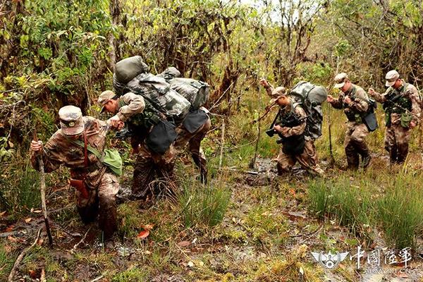 西藏墨脱军人巡边53年多牺牲攀绝壁毒蛇追图