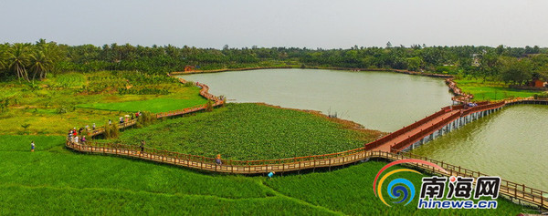 2016年3月19日,高空鸟瞰琼海市塔洋"七星伴月"美景.