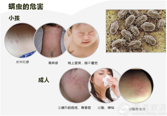 3螨虫危害 螨虫容易引发患哮喘病,支气管炎,肾炎,过敏性鼻炎和过敏性