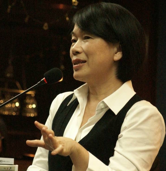 龙应台启动“台湾文化光点计划”_文化频道_凤凰网