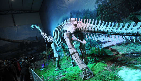 世界罕见的綦江莲花保寨恐龙足迹化石群