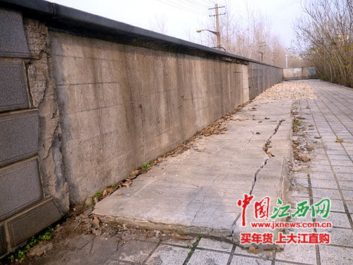 江西九江长江大堤现裂痕 内侧人行道沉降10厘米(图)