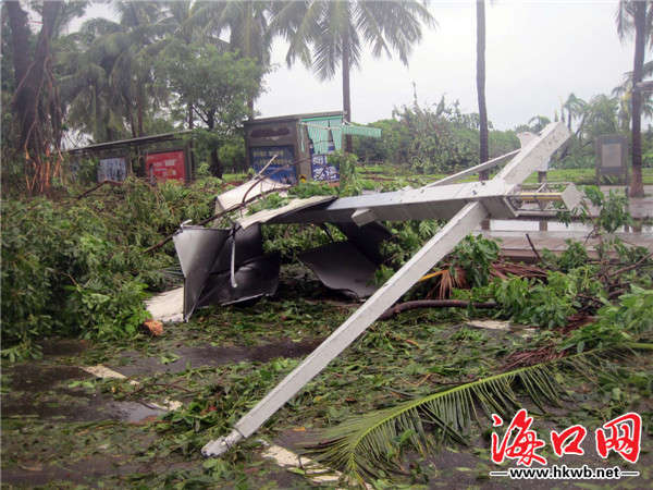 台风过后海口重现美丽容貌生气盎然