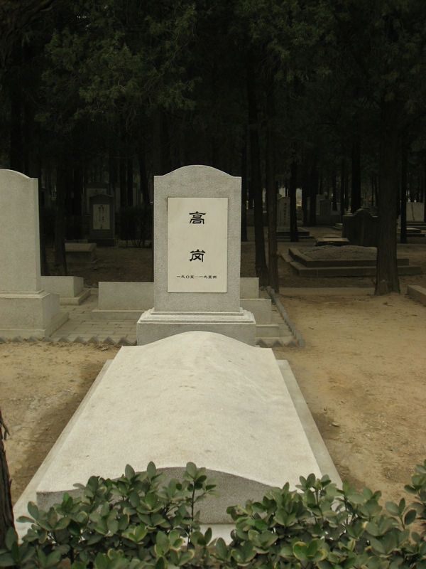 图为高岗墓全景.