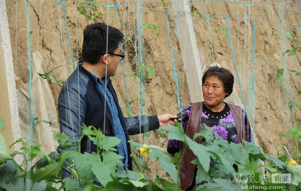 凤凰网山东张太岭专访山东省农业厅"第一书记"现代农业科技园的工作