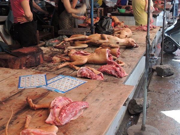 玉林狗肉市场僧人祈福 爱狗人士与肉贩对峙