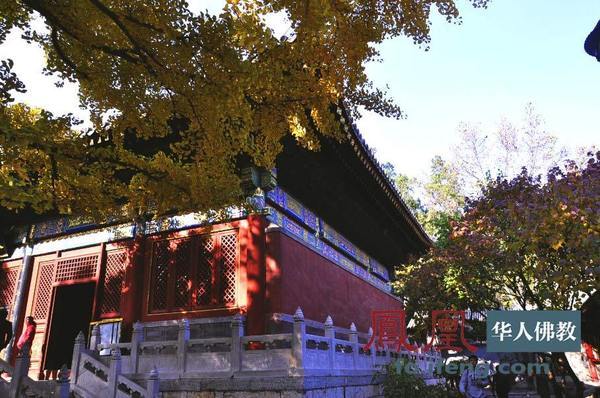 求子最灵验红螺寺秋日秋景正当红