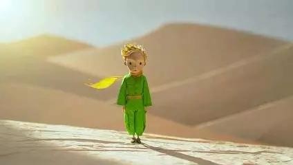 猪哼少深度揭秘 为啥小王子的唯一是玫瑰?