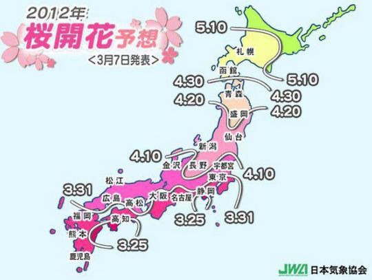 2012日本樱花花期最新播报