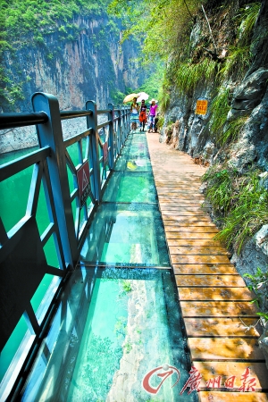 昭平县旅游景点玻璃桥图片