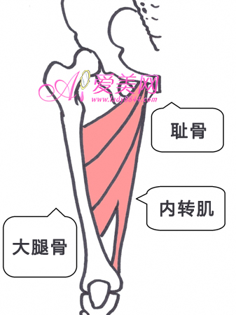 做减肥操瘦大腿内侧赘肉穿紧身牛仔无难度