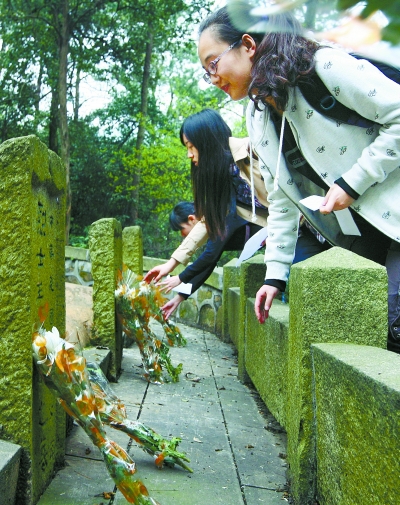 清明新风:祭扫时兴绿色低碳