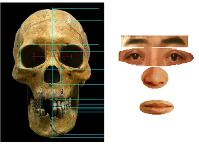 头骨复原面貌对比照片图片