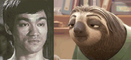 李小龙表情与树懒神同步